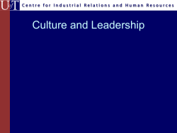Culture and Leadership