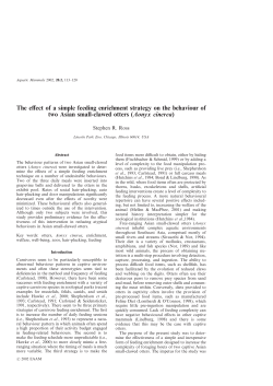 The effect of a simple feeding enrichment strategy on the behaviour