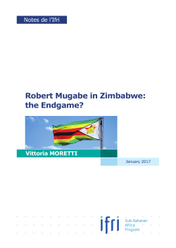 Robert Mugabe in Zimbabwe: the Endgame?