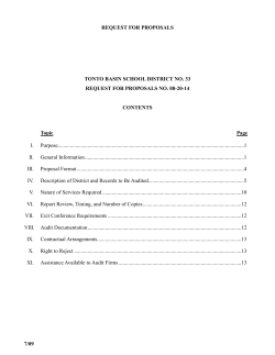 E. Audit Firm`s Approach to the Audit