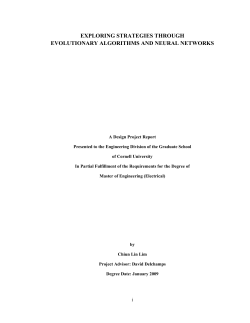 exploring strategies through evolutionary algorithms and neural