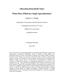Allocating Household Time: When Does Efficiency Imply