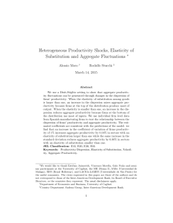 Heterogeneous Productivity Shocks, Elasticity of