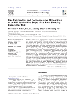 Size-Independent and Noncooperative Recognition of dsRNA by the