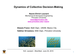Dynamics of Collective Decision-Making