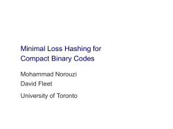 Minimum Loss Hashing for Compact Binary Codes