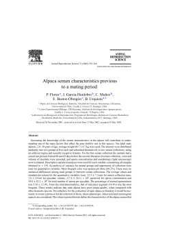 Alpaca semen characteristics previous to a mating period