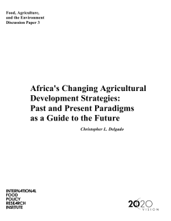 Africa`s Changing Agricultural Development Strategies: Past an