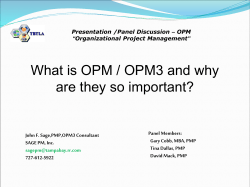 Presentation /Panel Discussion &ndash; OPM &ldquo;Organizational Project