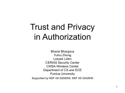 Privacy and Trust in Entity Authorization