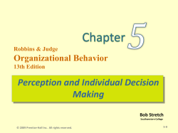 Perception and Individual Decision Making
