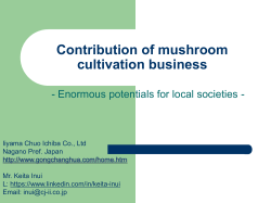 Contribution of mushroom cultivation business in Africa