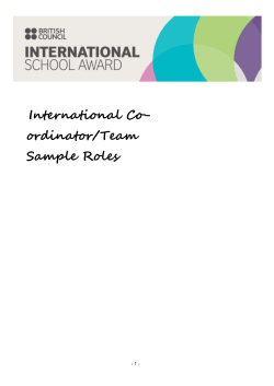 International Team/Co-ordinator job description examples