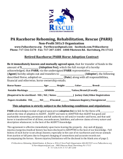 File - PA Racehorse Rehoming