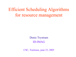 Efficient exploitation of a dynamic cluster for parallel