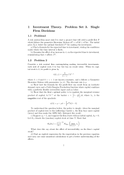 1 Investment Theory. Problem Set 3. Single Firm Decisions