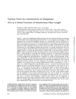 Traction Force on a Kinetochore at Metaphase Acts as a Linear