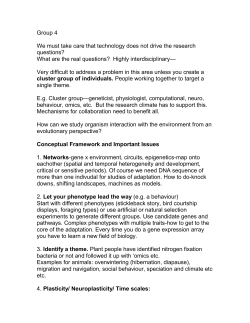 cluster group of individuals.