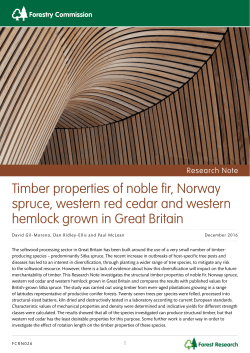 Timber properties of noble fir, Norway spruce, western red cedar