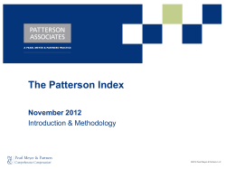 2016 UK CEO Value Index | Pearl Meyer