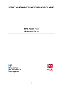 SME Action Plan November 2016