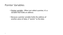 Pointer Variables