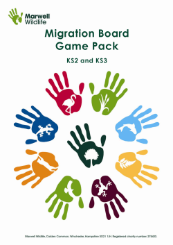 Migration Board Game Pack