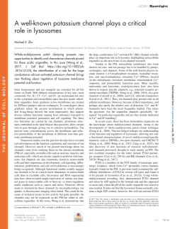 A well-known potassium channel plays a critical role in lysosomes