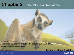 Chapter 2 Slides