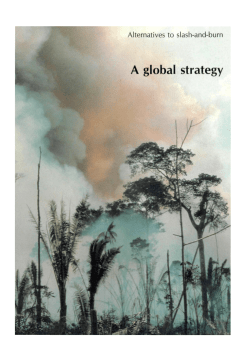 A global strategy - World Agroforestry Centre
