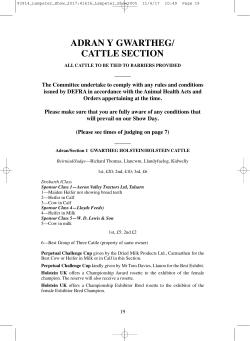 ADRAN Y GWARTHEG/ CATTLE SECTION