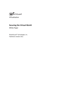 Securing the Virtual World