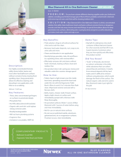 Blue Diamond All-in-One Bathroom Cleaner TOP SELLER