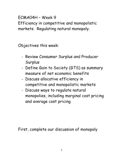 ECMA04H &ndash; Week 9 Efficiency in competitive and