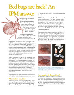 Bed bugs are back! An IPM answer