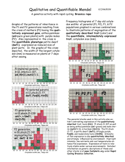 Qualitative and Quantifiable Mendel P2 P1 P2 F1 P1 P1,P2,F1, F2