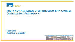 The 5 Key Attributes of an Effective SAP Control Optimization