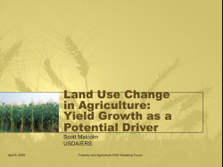 The Cellulosic Transition - Forestry and Agriculture Greenhouse