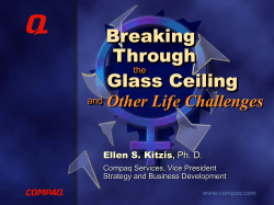 Breaking Through the Glass Ceiling and Other Life Challenges
