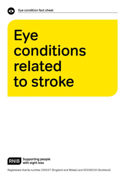 the guide to sight loss related to stroke (Word, 1MB)