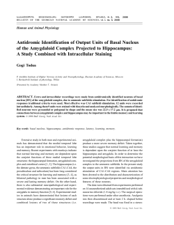 Antidromic Identification of Output Units of Basal Nucleus of the