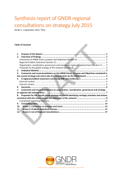 Proposals for the overall global strategy for GNDR identifying
