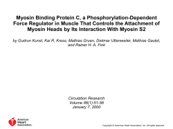 pCa/force relations of unphosphorylated MyBP