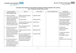 Joint Action Plan in Response to the Homicide