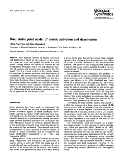 Dual stable point model of muscle activation and deactivation