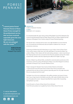 I cannot praise Forest Pennant [Forest of Dean Stone Firms] enough