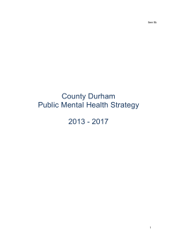 County Durham Public Mental Health Strategy 2013