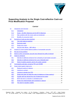 Supporting Analysis to the Single Cost-reflective Cash-out