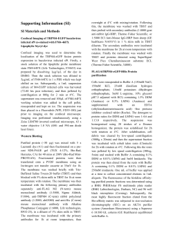 Supporting Information (SI) SI Materials and Methods Confocal
