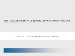 draft-ietf-ccamp-rwa-info